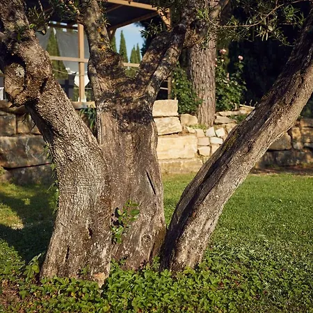 Le Balze アパート *