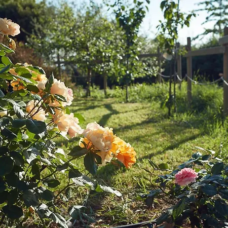 Apartamento Le Balze