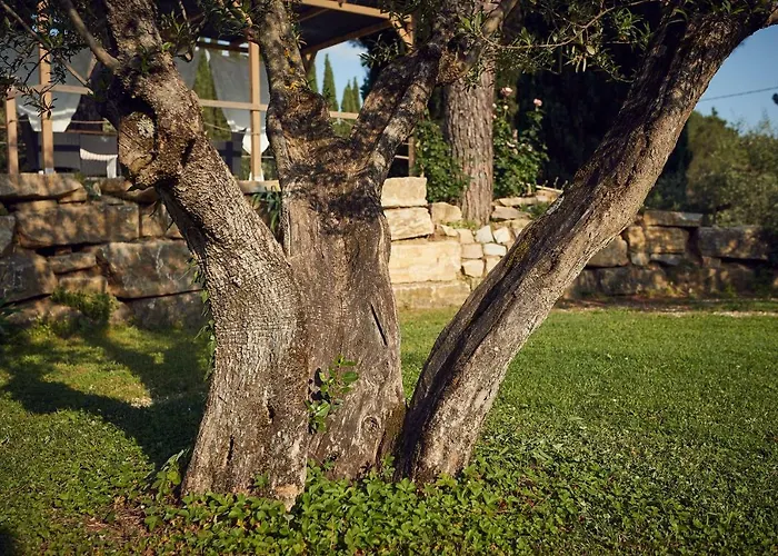 Le Balze Apartment *